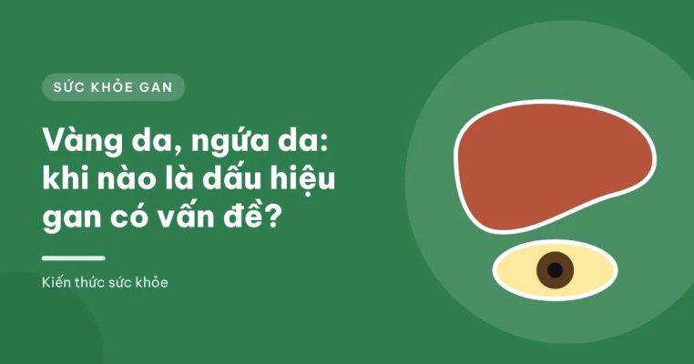 Minh họa đồ họa người có da và lòng trắng mắt ngả vàng bên cạnh hình lá gan và đường mật