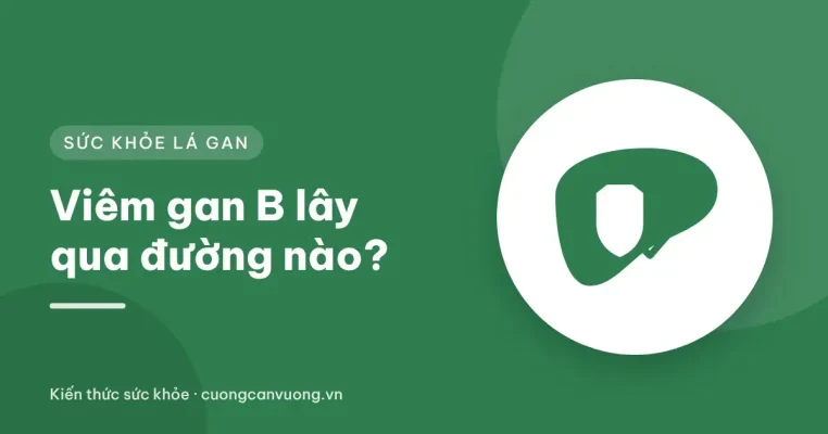 Minh họa lá gan và virus viêm gan B cùng biểu tượng vắc xin, xét nghiệm máu