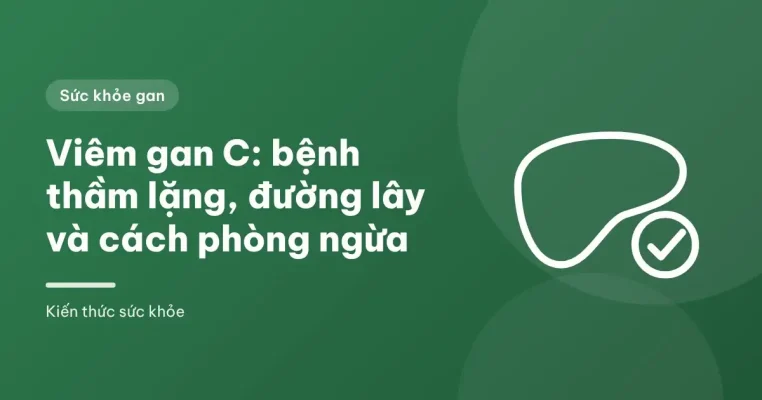 Hình minh họa lá gan kèm dấu kiểm trên nền xanh lục – Viêm gan C: bệnh thầm lặng, đường lây và cách phòng ngừa