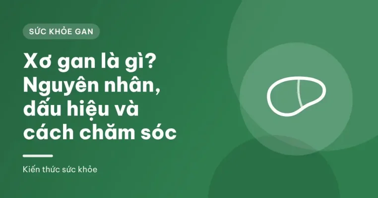Hình minh họa lá gan khỏe mạnh và lá gan bị xơ hóa có nhiều mô sẹo